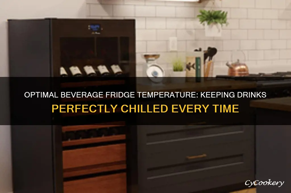 how cold should a beverage refrigerator be