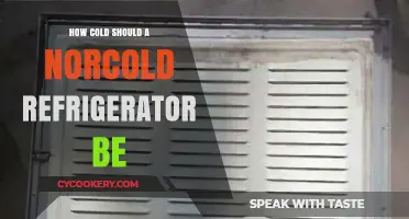 Optimal Norcold Refrigerator Temperature: How Cold is Just Right?