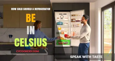 Optimal Fridge Temperature: How Cold Should Your Refrigerator Be in Celsius?