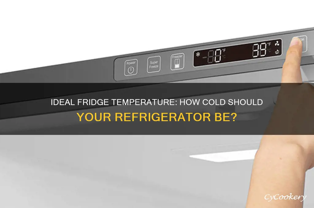 how cold should a refrigerator be question mark