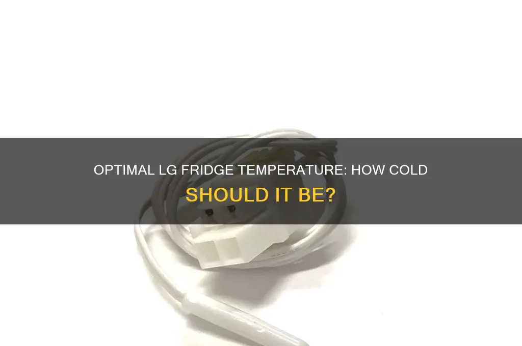 how cold should my lg refrigerator be