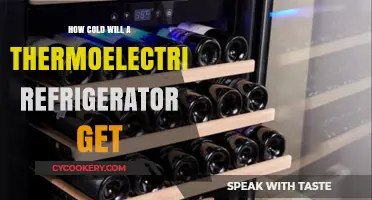 Chilling Facts: Thermoelectric Refrigerator's Lowest Temperature Explained