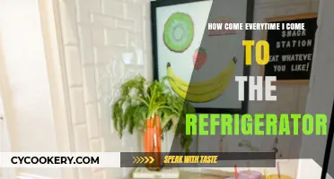 Why Does the Fridge Always Call My Name? Exploring Snack Habits