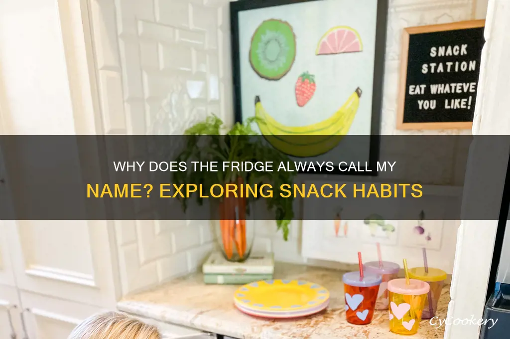 how come everytime i come to the refrigerator