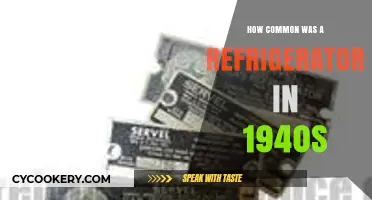 Chilling Facts: Refrigerator Ownership in the 1940s Households