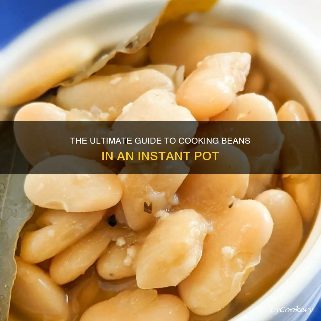 how cook beans in insatnt pot
