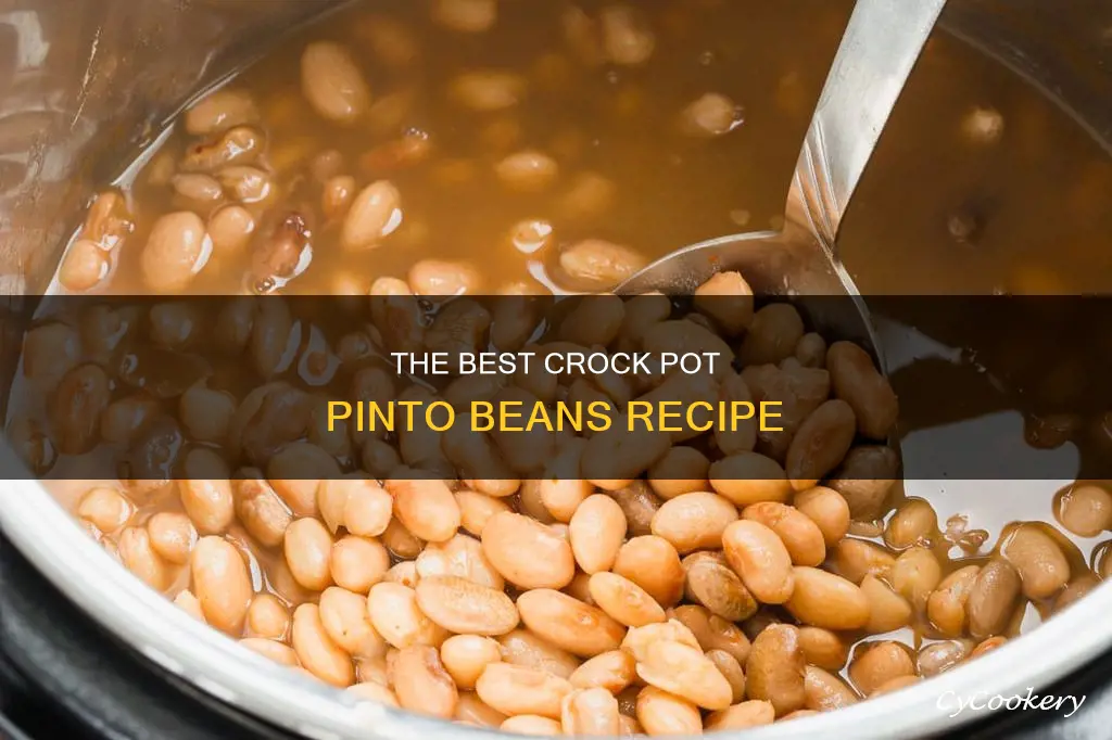 how cook pinto beans crock pot