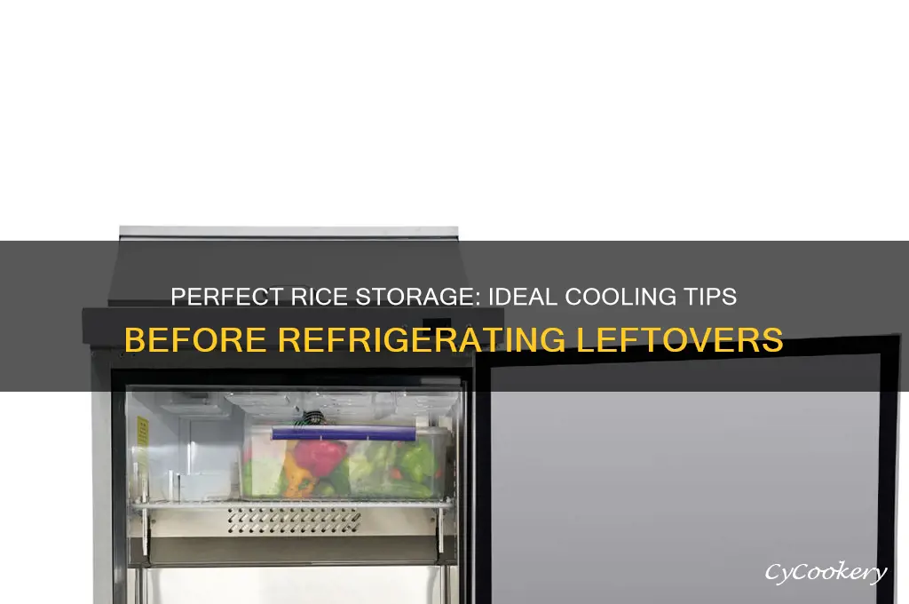 how cool does rice have to be before refrigerating