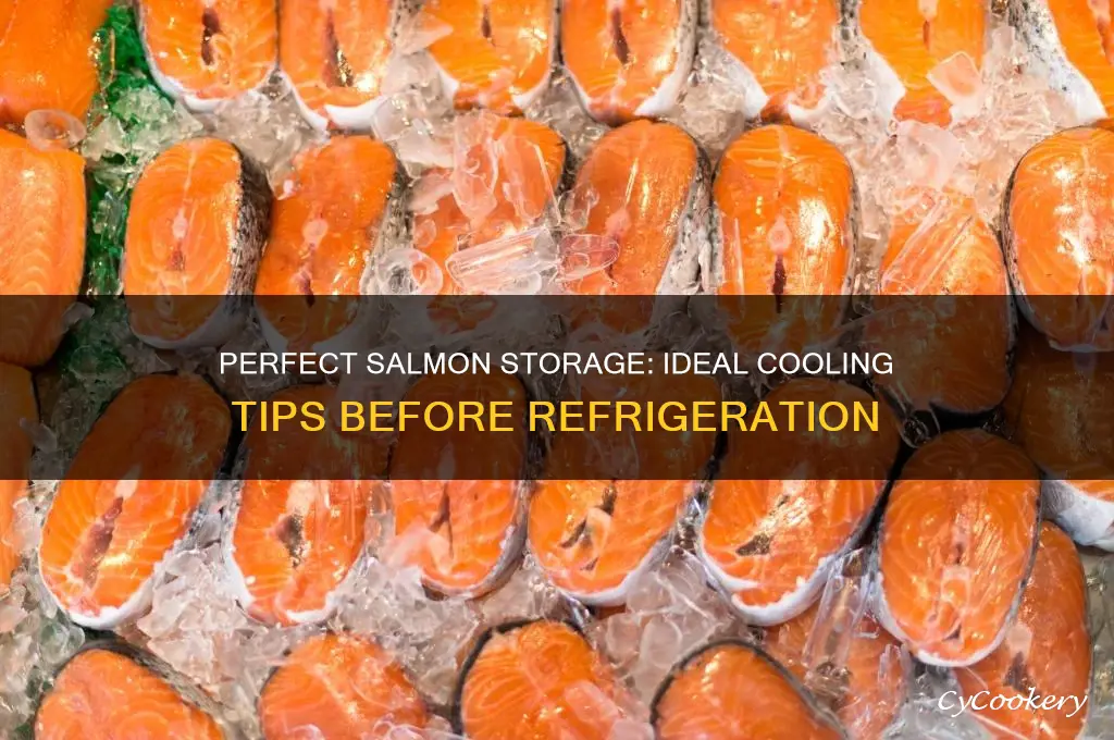 how cool does salmon have to be before refrigerating