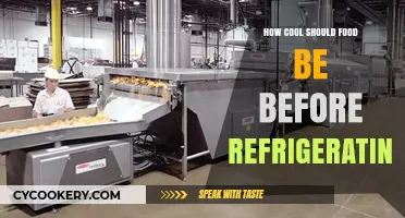Chill Smart: Optimal Cooling Tips for Freshly Cooked Food Storage