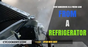 Freon Leak Dangers: Health Risks and Safety Tips for Refrigerators