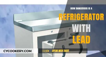 Lead in Refrigerators: Unseen Dangers and Health Risks Explained