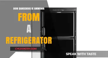 Ammonia Leaks from Refrigerators: Understanding the Hidden Dangers and Risks