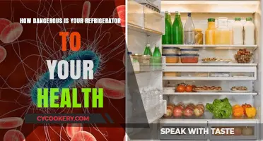 Refrigerator Risks: Hidden Health Hazards in Your Kitchen Appliance