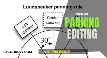 The Art of Panning: Editing Decisions