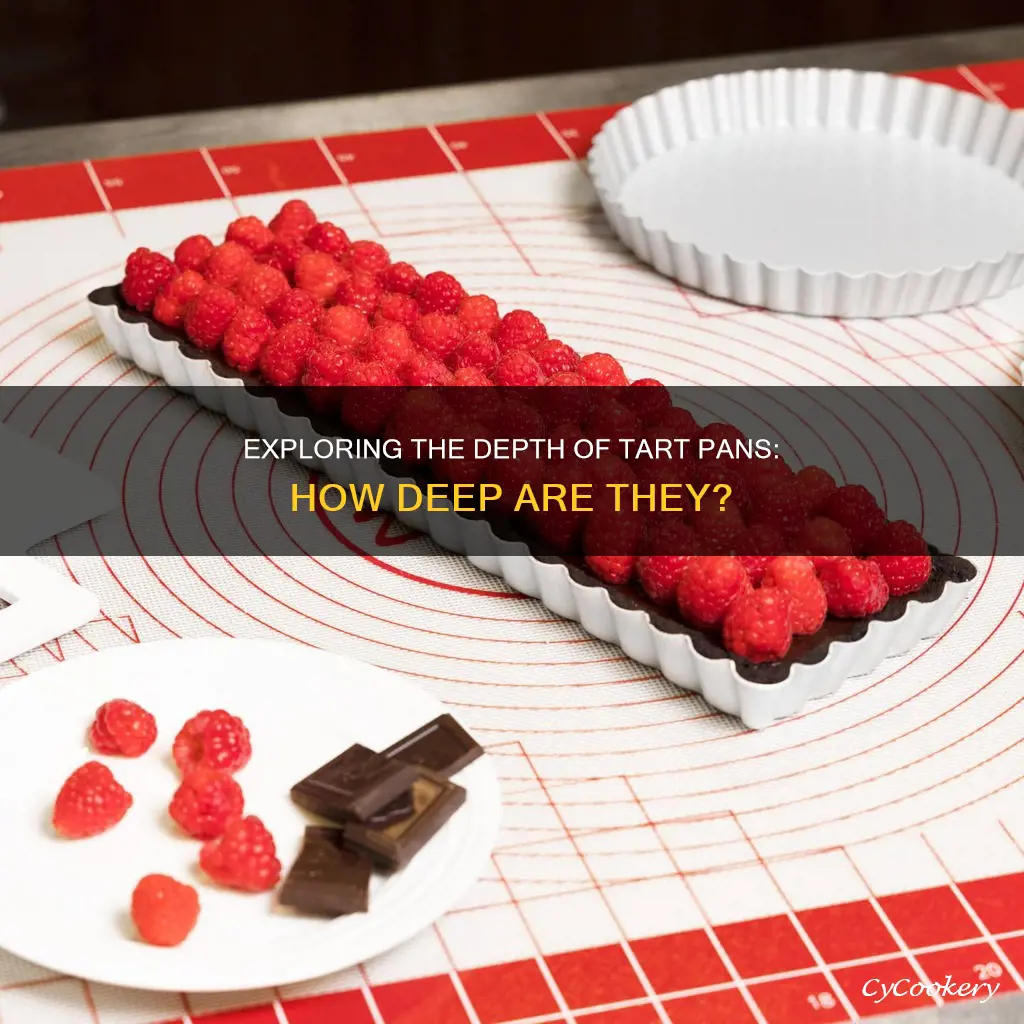 how deep are tart pans