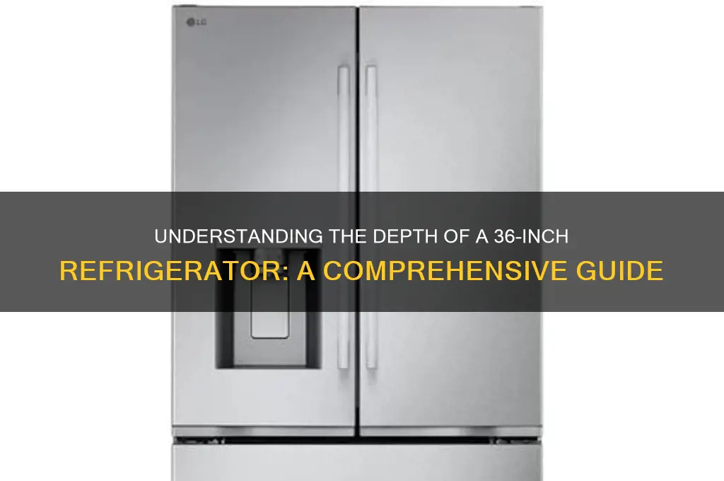 how deep is a 36 inch refrigerator