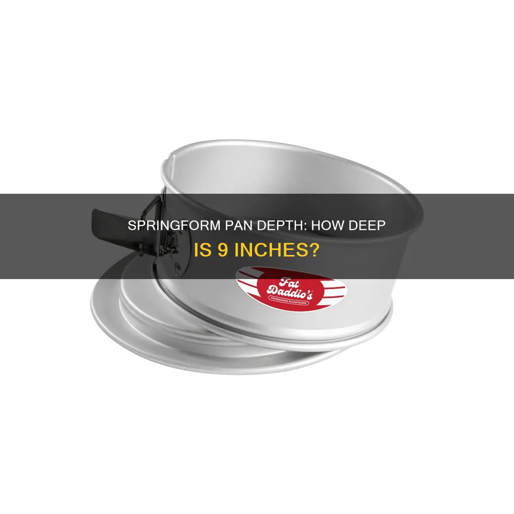 how deep is a 9 inch springform pan