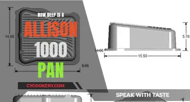 Allison 1000 Pan: Understanding Its Depth
