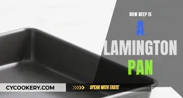 The Depth of a Lamington Pan: How Deep is Too Deep?