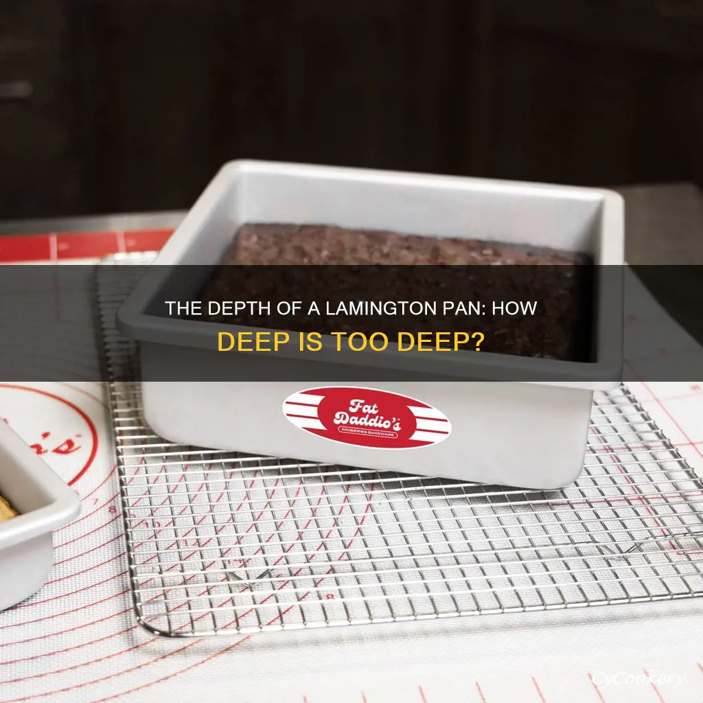 how deep is a lamington pan