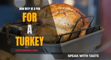 The Best Pan Depth for Roasting a Turkey