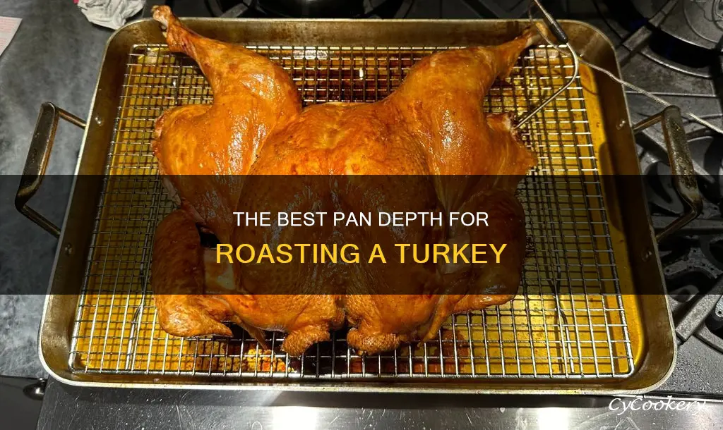 how deep of a pan for a turkey