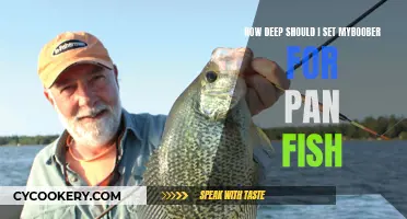 Setting Your Crappie Depth: The Panfish Sweet Spot