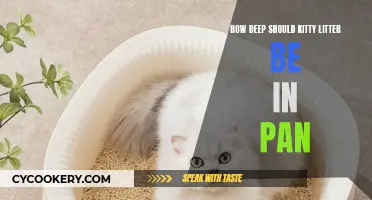 The Ideal Depth of Kitty Litter in the Pan