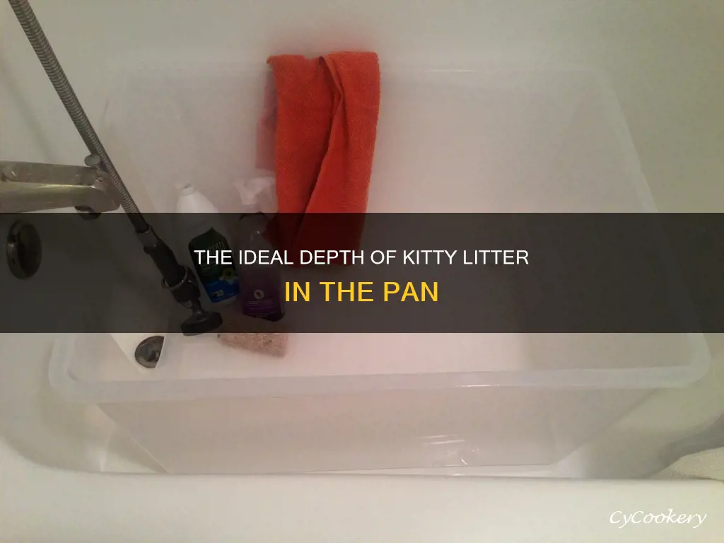 how deep should kitty litter be in pan