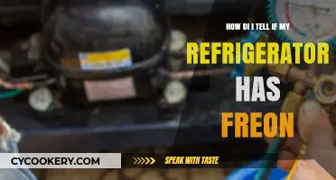 How to Check If Your Refrigerator Has Freon: A Quick Guide