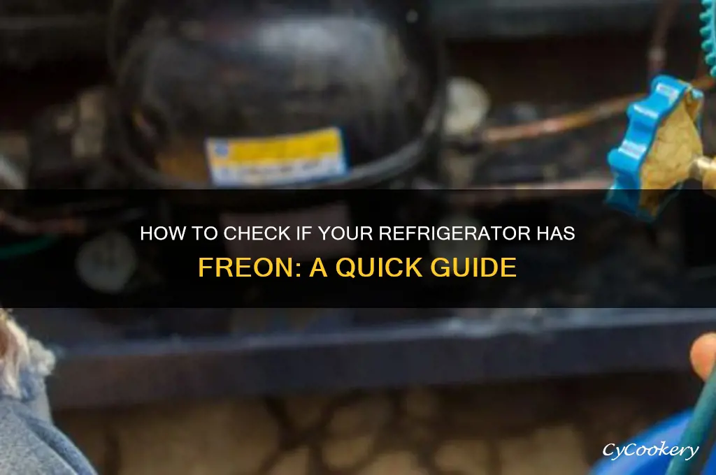 how di i tell if my refrigerator has freon