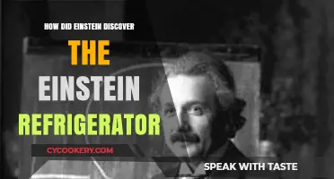 Einstein's Revolutionary Refrigerator: Unveiling the Genius Behind the Invention