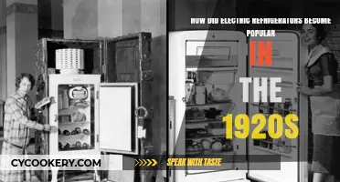 The Rise of Electric Refrigerators in the Roaring Twenties