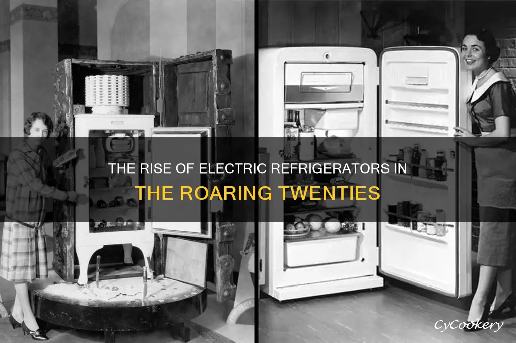 how did electric refrigerators become popular in the 1920s