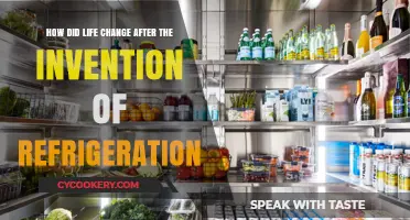 Refrigeration Revolution: Transforming Daily Life and Global Food Systems