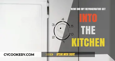 How My Refrigerator Mysteriously Made Its Way into the Kitchen