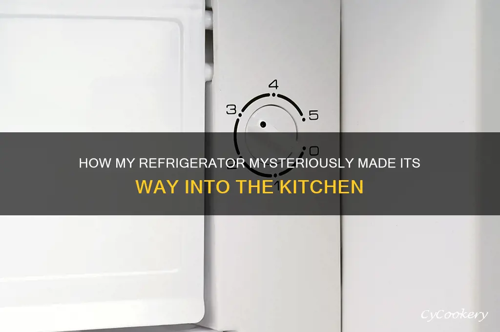 how did my refrigerator get into the kitchen