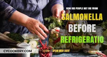 Surviving Salmonella: Pre-Refrigeration Food Safety Secrets Revealed