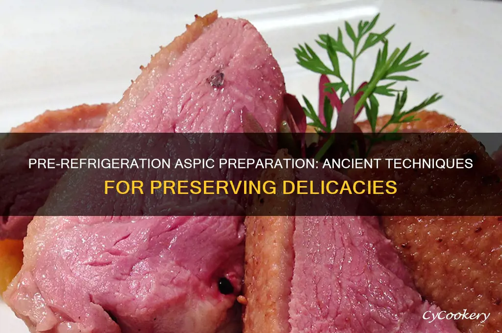 how did people prepare aspics before refrigeration