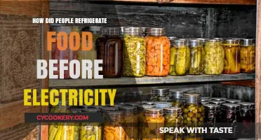 Chilling Without Watts: Ancient Food Preservation Methods Before Electricity