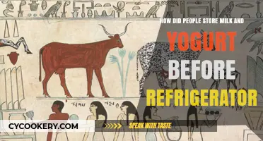 Ancient Dairy Preservation: Storing Milk and Yogurt Without Refrigeration