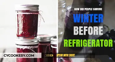 Winter Survival Secrets: Preserving Food Before Refrigeration