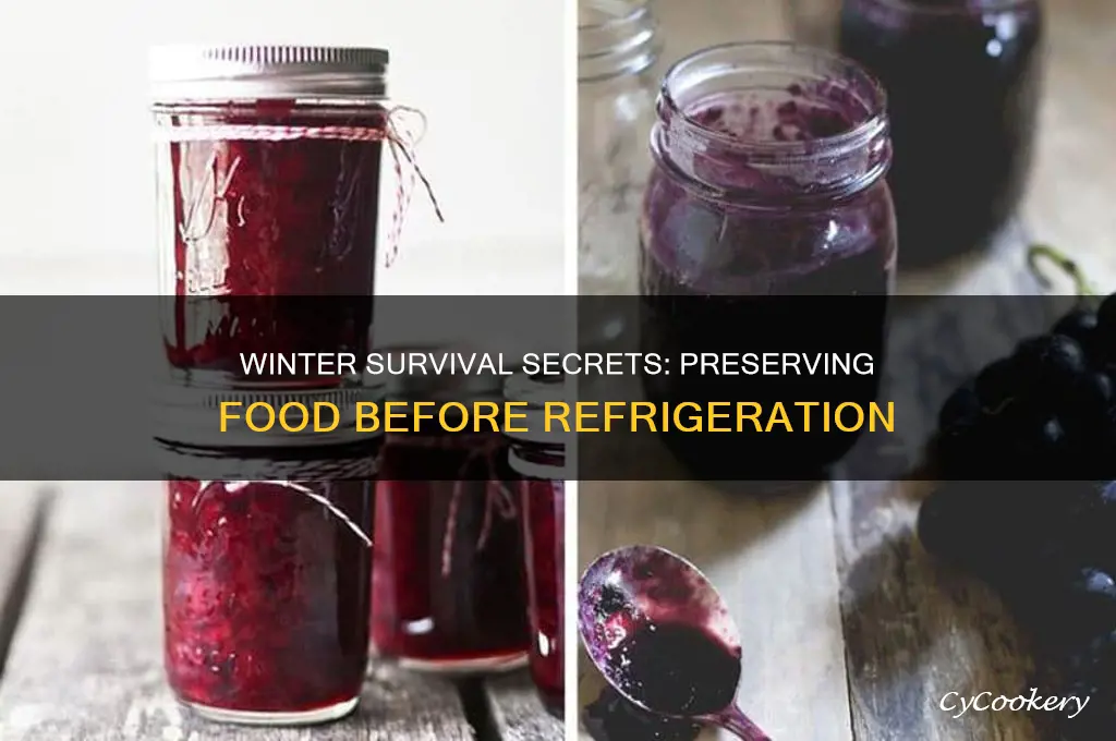 how did people survive winter before refrigerator