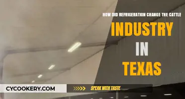 Refrigeration Revolutionized Texas Cattle Industry: A Chilling Transformation