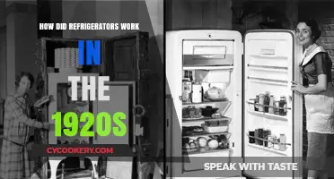 Chilling Innovations: How 1920s Refrigerators Kept Food Fresh
