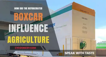 Refrigerated Boxcars: Revolutionizing Agriculture and Food Distribution Nationwide