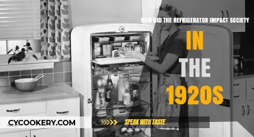 Revolutionizing Homes: The 1920s Refrigerator's Societal Transformation