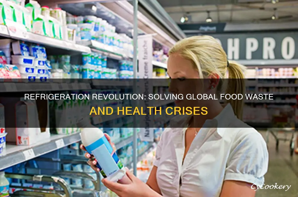 how did the refrigerator solve world problems