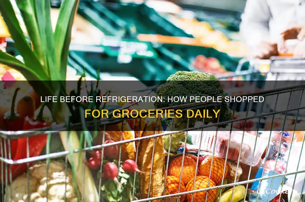 how did you grocery shop before home refrigerator